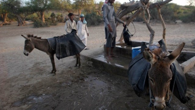 Sindh govt announces Rs100 million package for drought-hit Tharparkar areas