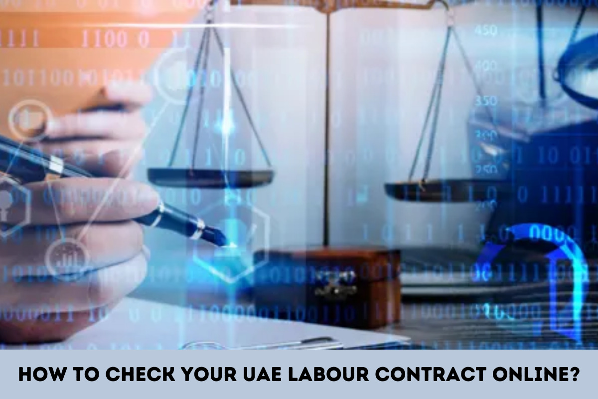 Check UAE Labour Contract Online