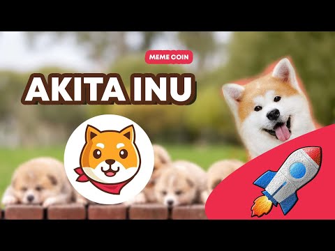 How To Buy Akita Inu (AKITA) – A Step-By-Step Guide