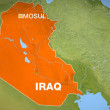 Iraqi intelligence officer killed in suicide attack