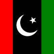 Pakistan-peoples-party-PPP-flag