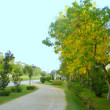 Race_Course_Park-Lahore