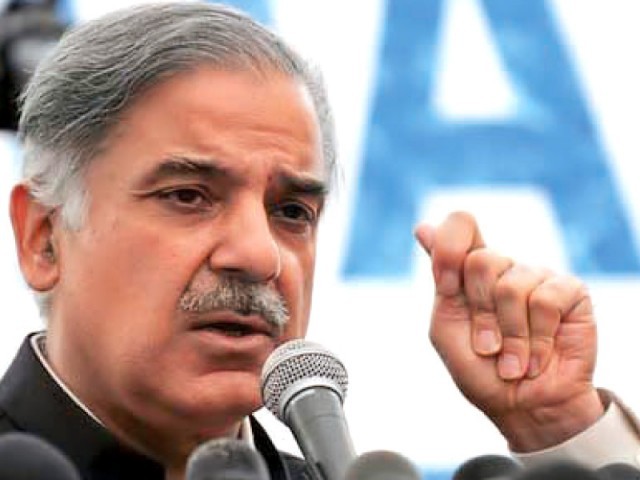 Shahbaz says govt taking revolutionary steps to overcome energy crisis