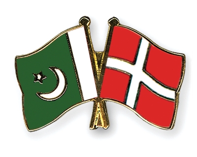 Pakistan-Denmark Energy Working Group formed to develop ToRs for G2G agreements