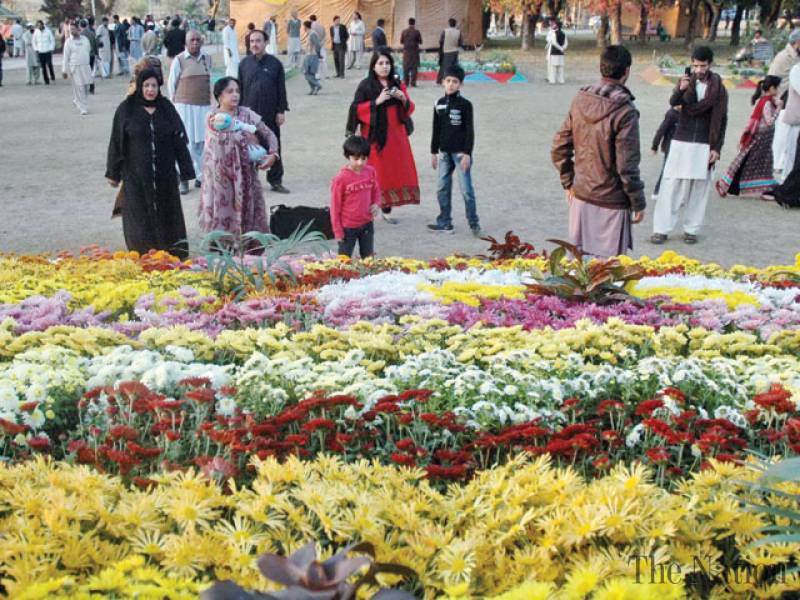 Exhibition of autumn flowers in Islamabad from December 4 to 6