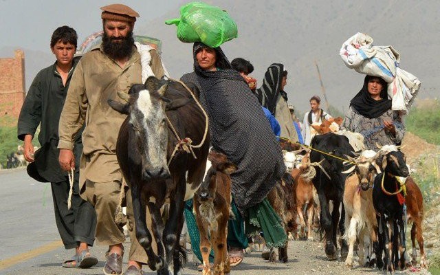 151,833 IDPs families sent back to homes: FDMA