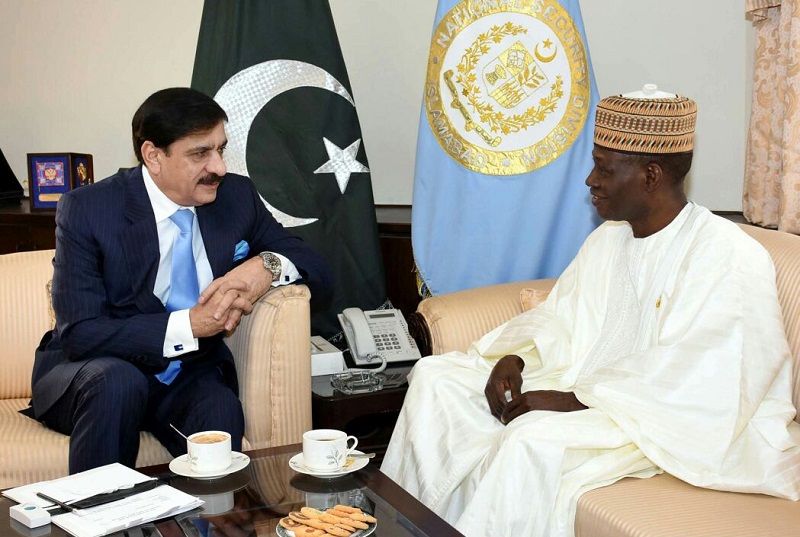 Nasser Janjua expresses Pakistan’s commitment to expand cooperation with Nigeria