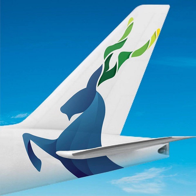 PIA introduces new logo & design with Markhor image on it