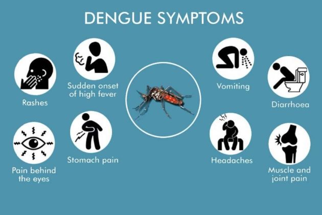 Dengue Fever: Symptoms And Preventions