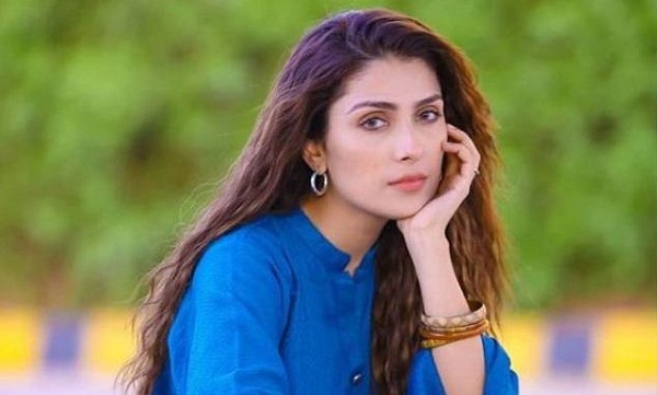 most beautiful pakistani actresses