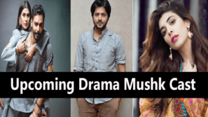 top 5 pakistani drama