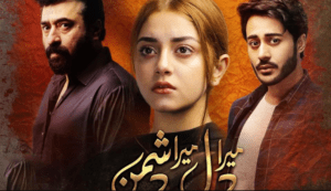 poor pakistani dramas that should be stopped