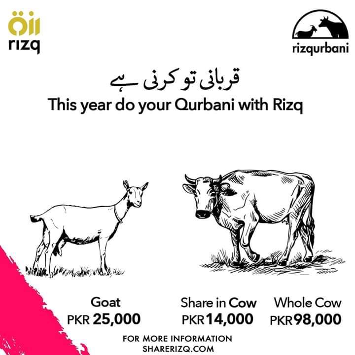 Online Qurbani - The faithful will act upon the Sunnah of Hazrat Ibrahim (AS) and his son Hazrat Ismail (AS) on Eid Ul Azha to be celebrated on August 1, 2020 in Pakistan by sacrificing cattle. However, amid the Coronavirus (COVID-19) pandemic which has infected a total of 267,427 people across Pakistan and taken 5,677 lives by July 21 in addition to the SOPs devised by the government to alleviate the virus impact, strict compliance with the Sunnah wouldn’t be a convenient task as it has been before. The Islamabad Capital Territory (ICT) administration has imposed Section 144 against the illegal Cattle Markets as it has allowed the establishment of only four Cattle Markets in Bhara Kahu, Taramri, Rawat and Tarnol area of the City. As per the Deputy Commission Islamabad Hamza Shafqaat, if anyone is found violating Section 144, he may be penalized with six-month imprisonment and a fine up to Rs 100,000. In view of the SOPs enforced by the government to curtail COVID-19 spread and illegal Cattle Markets having been banned, the people of Islamabad/Rawalpindi may opt to avail the online facilities of booking orders for Qurbani (Sacrifice).