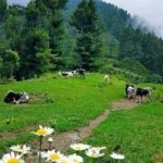 KP govt all-set to declare scenic valleys Shakai, Badar as tourist destinations