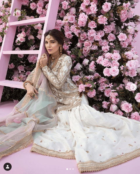 Ayesha Omar Stuns Everyone with Her Breathtaking Fancy Attires Look!
