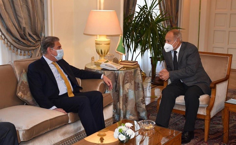 FM Qureshi meets Arab League Secretary General in Cairo