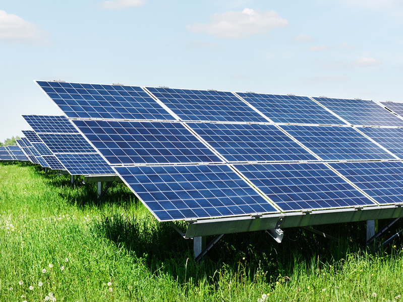 5 Best Solar Panel Companies In Pakistan