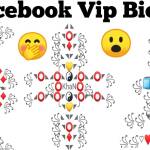 Facebook Stylish Bio for Boys and Girls