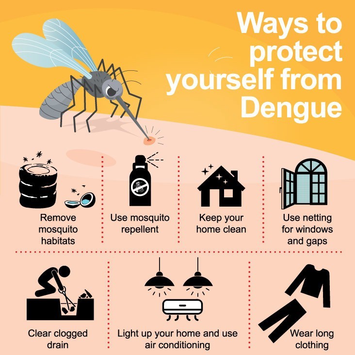 effective-tips-to-prevent-dengue-fever