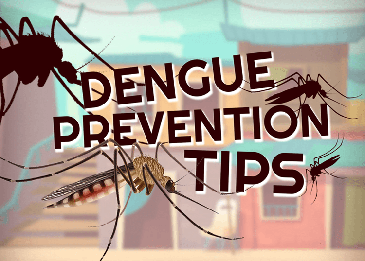 Tips to prevent dengue fever