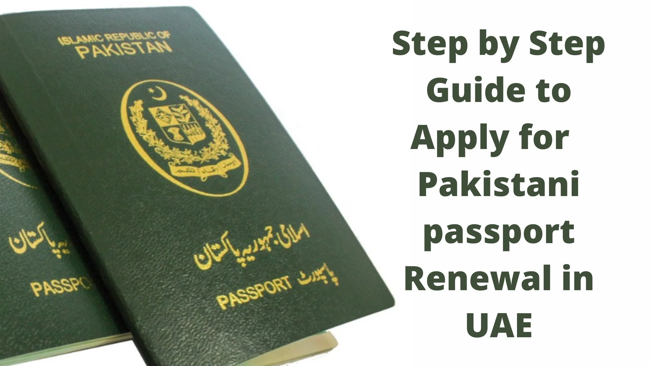 Pakistani passport renewal in UAE 