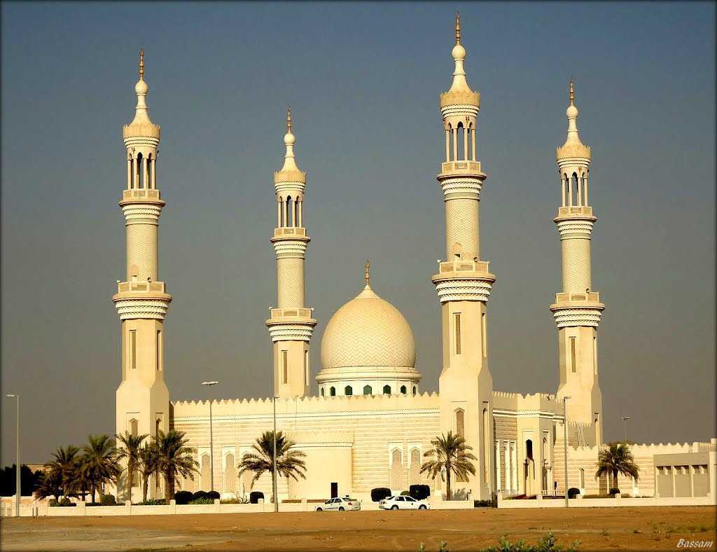 Sheikh Zayed al Nuaimia mosque