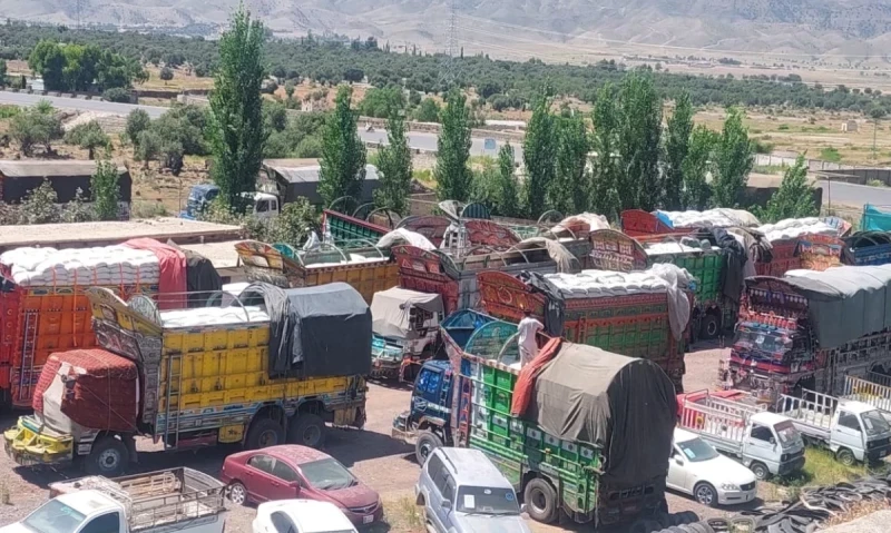 Massive sugar smuggling haul busted as customs seize 20 trucks en route to Afghanistan