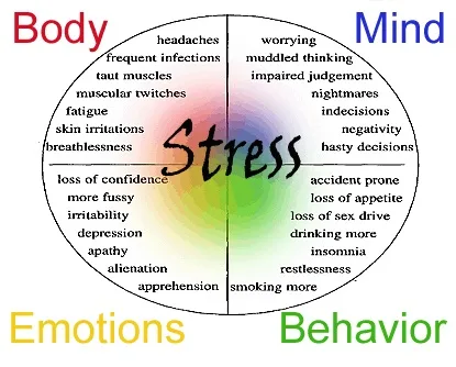 Stress is bad for your productivity