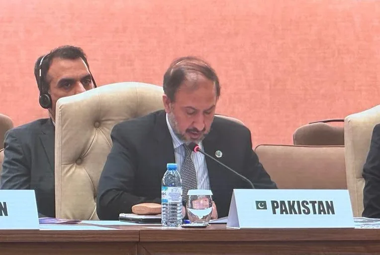 Pakistan calls for enhanced international cooperation for SDGs