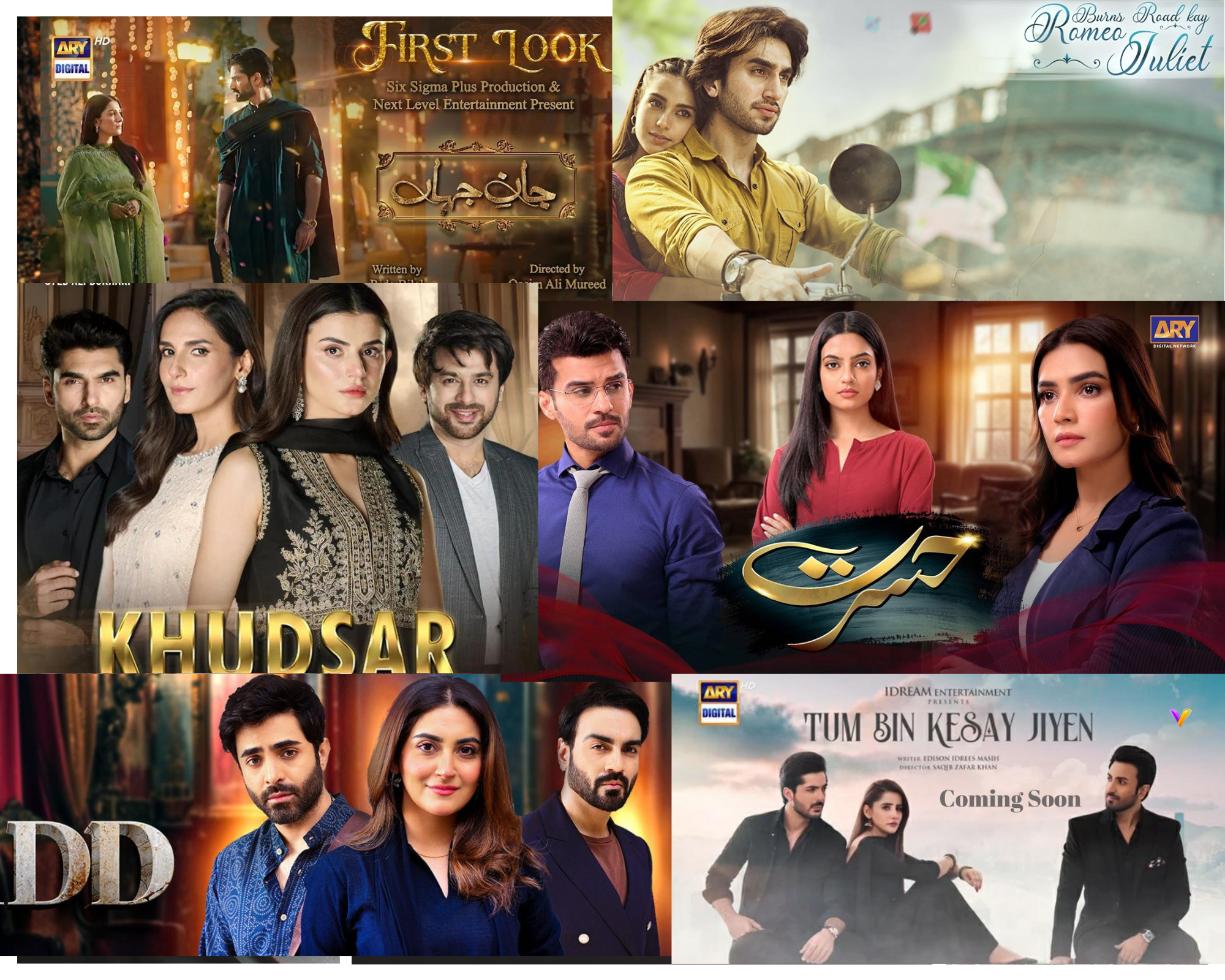 List of programs broadcast on ARY Digital