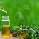 Tea tree oil benefits